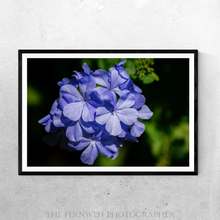 Load image into Gallery viewer, Bouquet of Blue Hues