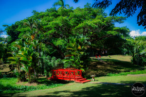 Puerto Rico's Tropical Japanese Garden