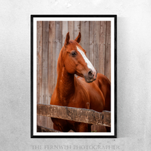 Load image into Gallery viewer, Rustic Tucker