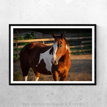 Load image into Gallery viewer, Spirited Paint Mare