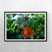 Load image into Gallery viewer, Tropical Tree Hues