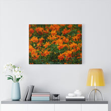 Load image into Gallery viewer, Wild Orange Flora | Canvas Gallery Wrap