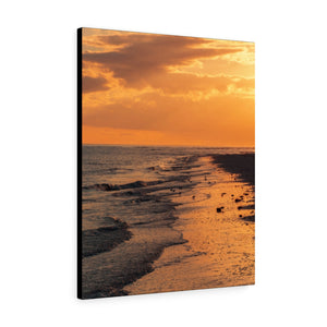 Golden Sanibel Beach | Canvas Gallery Wrap