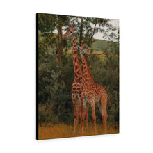 Load image into Gallery viewer, Giraffe Duo | Canvas Gallery Wrap
