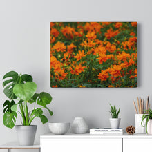 Load image into Gallery viewer, Wild Orange Flora | Canvas Gallery Wrap