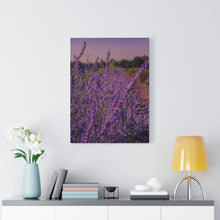 Load image into Gallery viewer, Lavender Trail | Canvas Gallery Wrap