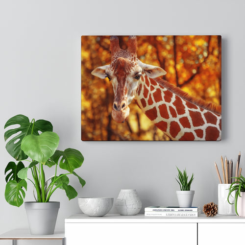 Giraffe Grandeur | Canvas Gallery Wrap