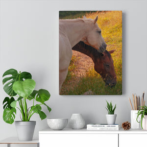 Pasture Companions | Canvas Gallery Wrap