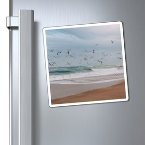 Seagulls Fly Out to Sea | Magnet