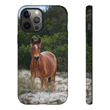 Load image into Gallery viewer, Equine in the Sand Dunes | Phone Case