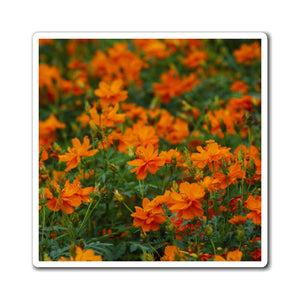 Wild Orange Flora | Magnet
