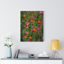 Load image into Gallery viewer, Colorful Amaranth | Canvas Gallery Wrap