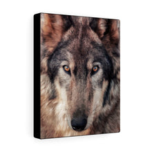 Load image into Gallery viewer, Lone Wolf | Canvas Gallery Wrap