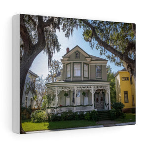 Lady & The Tramp House | Canvas Gallery Wrap