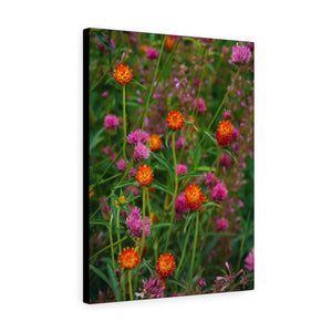 Colorful Amaranth | Canvas Gallery Wrap