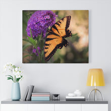Load image into Gallery viewer, Wings &amp; Wishes | Canvas Gallery Wrap