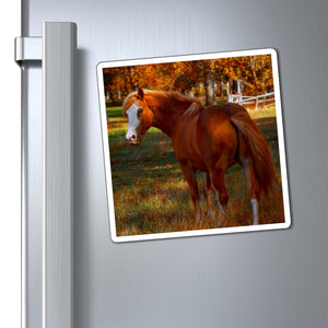 Mare Within Autumn Pastures | Magnet