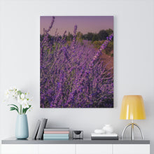 Load image into Gallery viewer, Lavender Trail | Canvas Gallery Wrap