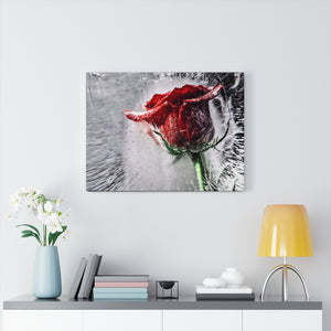 Frozen in Time | Canvas Gallery Wrap