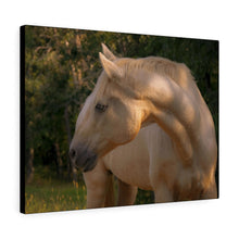 Load image into Gallery viewer, Tranquil Equine Eve | Canvas Gallery Wrap
