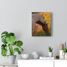Load image into Gallery viewer, Pasture Companions | Canvas Gallery Wrap