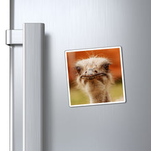 Load image into Gallery viewer, Judgemental Ostrich | Magnet