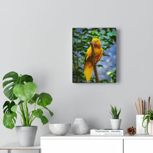 Load image into Gallery viewer, Canary Yellow Parrot | Canvas Gallery Wrap