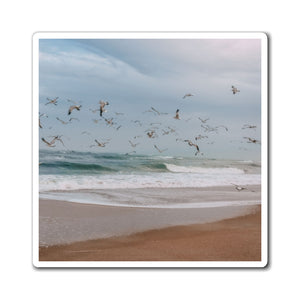 Seagulls Fly Out to Sea | Magnet
