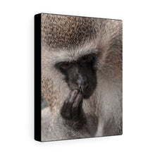 Load image into Gallery viewer, Monkey Thoughts | Canvas Gallery Wrap