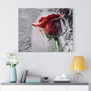 Frozen in Time | Canvas Gallery Wrap