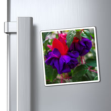 Load image into Gallery viewer, Hanging Fuschias | Magnet