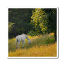 Load image into Gallery viewer, Golden Hour Graze | Magnet
