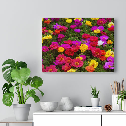 Vibrant Summer Flowers | Canvas Gallery Wrap