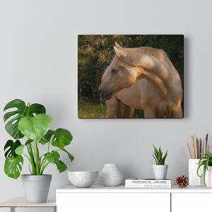 Tranquil Equine Eve | Canvas Gallery Wrap