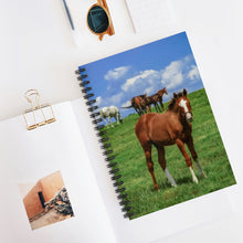 Load image into Gallery viewer, Foal in the Windy Meadow | Spiral Notebook