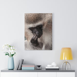 Monkey Thoughts | Canvas Gallery Wrap
