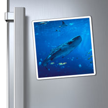 Load image into Gallery viewer, Graceful Whale Shark | Magnet
