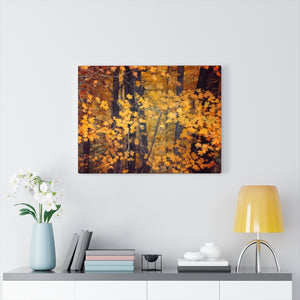 Autumn Forest Edge | Canvas Gallery Wrap