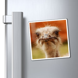 Judgemental Ostrich | Magnet