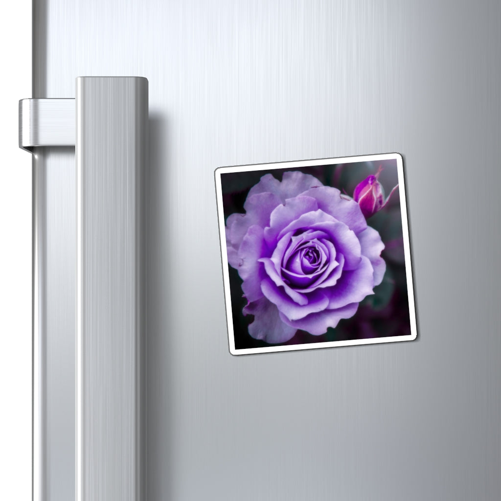 Lovely Lavender Rose | Magnet