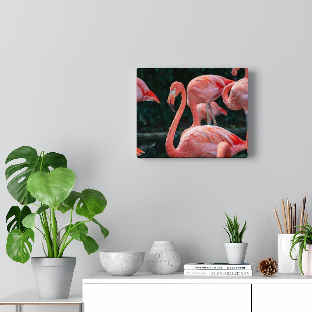 Flamingo Hues | Canvas Gallery Wrap