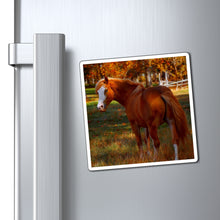 Load image into Gallery viewer, Mare Within Autumn Pastures | Magnet