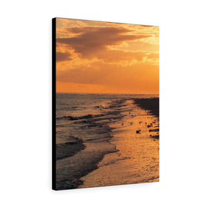 Golden Sanibel Beach | Canvas Gallery Wrap