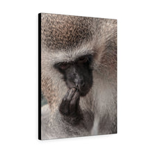 Load image into Gallery viewer, Monkey Thoughts | Canvas Gallery Wrap