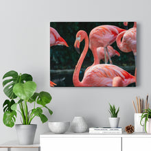 Load image into Gallery viewer, Flamingo Hues | Canvas Gallery Wrap