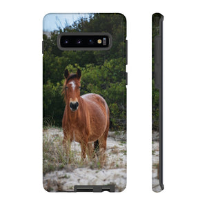 Equine in the Sand Dunes | Phone Case