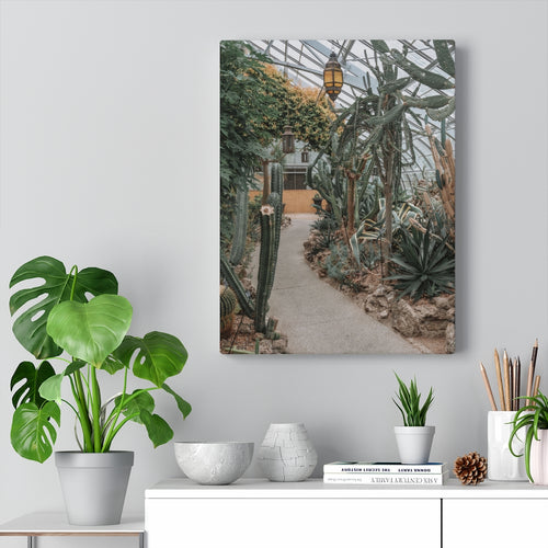 Cactus Path | Canvas Gallery Wrap