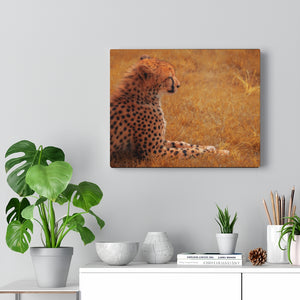 Cheetah Essence | Canvas Gallery Wrap