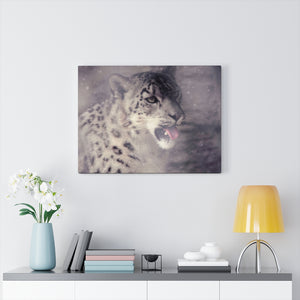 Cat Who Loves Snow | Canvas Gallery Wrap