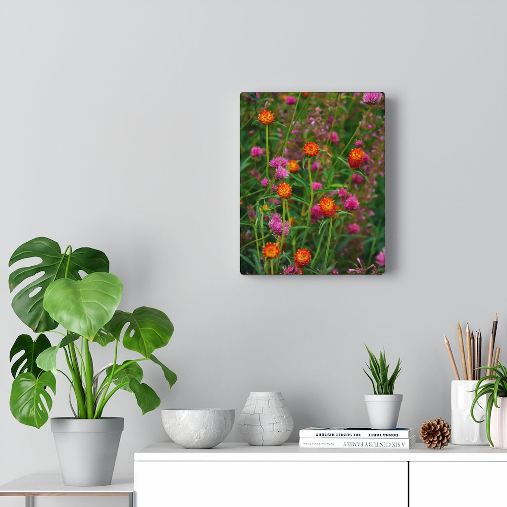 Colorful Amaranth | Canvas Gallery Wrap